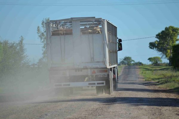 Brasil espera confirmación oficial de posible caso de vaca loca en medio de volatilidad en los mercados