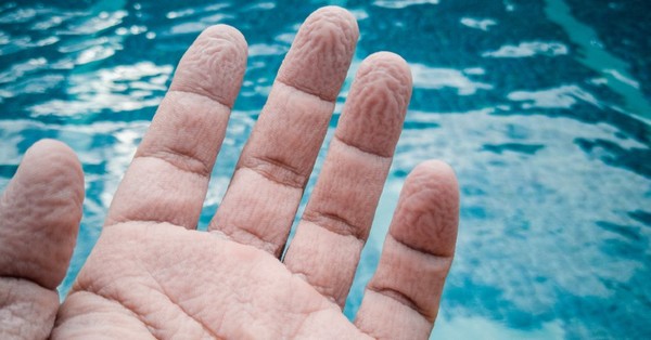 Esta es la razón por la que se arrugan las yemas de los dedos cuando estás en el agua según la ciencia - SNT