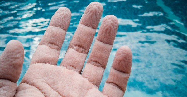 Esta es la razón por la que se arrugan las yemas de los dedos cuando estás en el agua según la ciencia - C9N