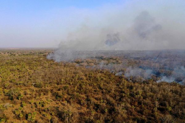 Bolivia: cerca de un millón de hectáreas dañadas por incendios - Mundo - ABC Color