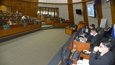 Diputados concretan reelección de un colorado como contralor hasta 2026