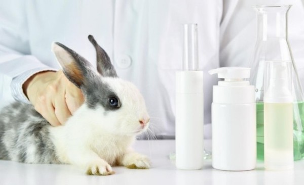 Una victoria para Ralph: México prohíbe las pruebas de cosméticos en animales | El Independiente