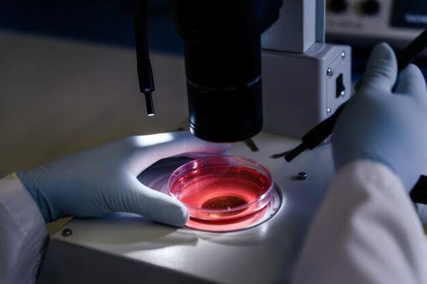Día mundial de la Leucemia: realizan campañas educativas sobre la enfermedad - Nacionales - ABC Color