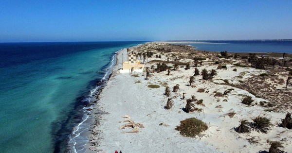 La Nación / Farwa, la paradisiaca isla libia rica en fauna silvestre, en peligro