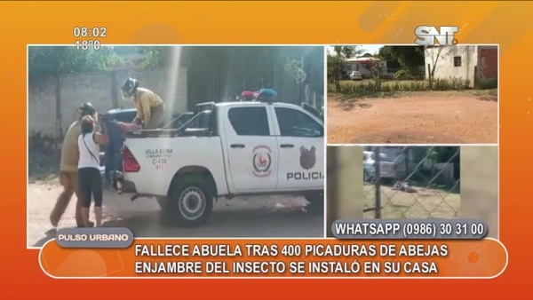 Mujer de 88 años murió tras sufrir 400 picaduras de abejas - SNT
