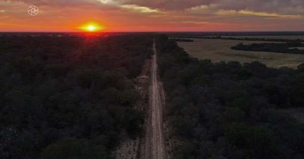 La Nación / Pronostican un domingo cálido y con probabilidad de lluvias