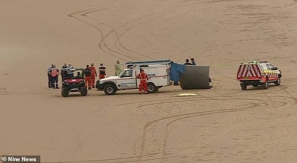 Diario HOY | Un hombre muere por un ataque de tiburón en una playa australiana
