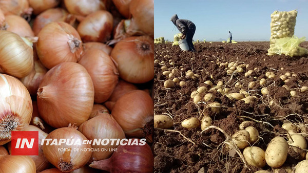 IMPULSAN LA PRODUCCIÓN DE PAPA, AJO Y CEBOLLA EN ITAPÚA 