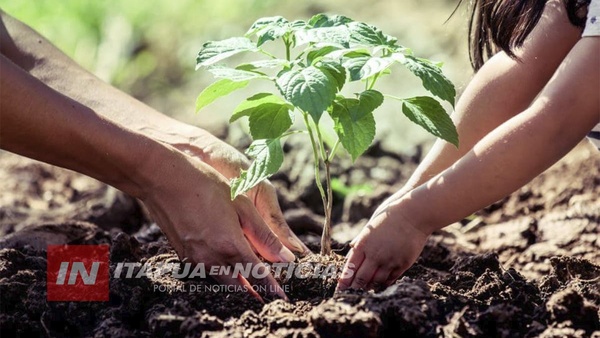 CENTRAL DE COOPERATIVAS IMPULSA CAMPAÑA DE CONCIENCIACIÓN DEL MEDIO AMBIENTE