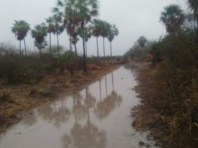 Emiten alerta por tormentas eléctricas para Alto Paraguay  - Nacionales - ABC Color