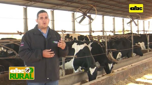 ABC Rural: Nutrición de terneras lecheras en etapa de cría y recría  - ABC Rural - ABC Color
