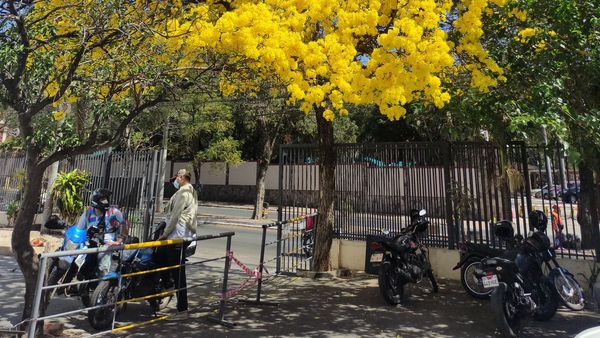 Primavera estará marcada por altas temperaturas y poca lluvia