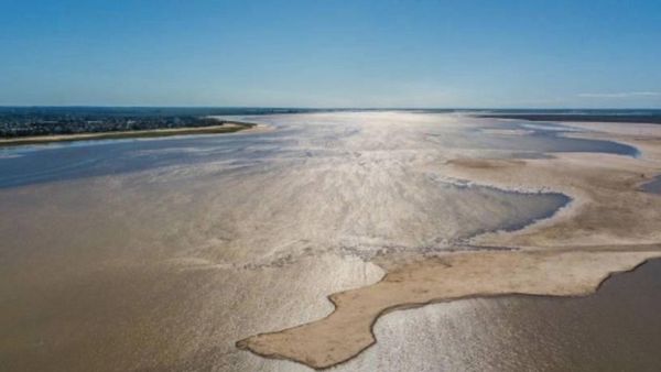 Naturaleza decaída | El Independiente