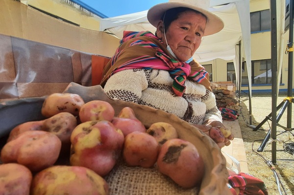 Papas "inteligentes", la clave en Bolivia ante el cambio climático - MarketData