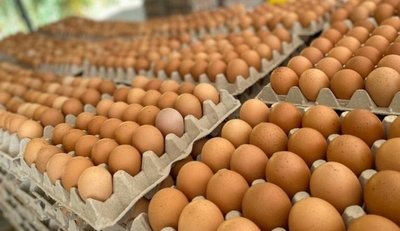 Diario HOY | Contrabando asesta duro golpe a productores de huevo: "Esta temporada nos está matando”