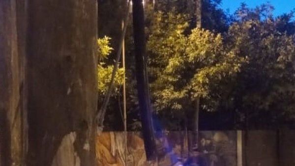 Conductora salvó a un trabajador que iba a ser asaltado