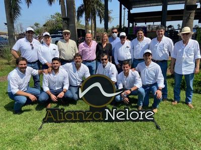 Ferusa vendió reproductores en Alianza Nelore a Gs. 26.172.911 de promedio general