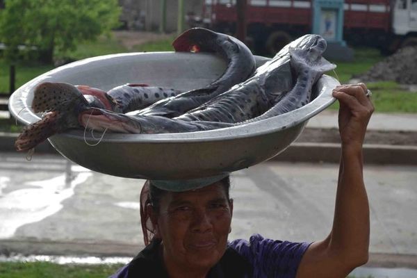 Aseguran subsidio para pescadores en PGN 2022 - Nacionales - ABC Color