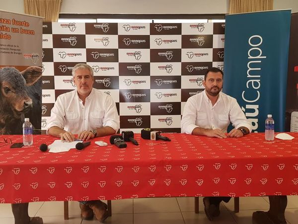 Brangus Paraguay subastará 86 en la Expo MRA - Nacionales - ABC Color