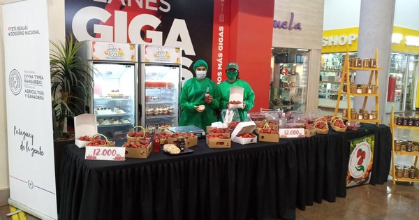 La Nación / Unas 150 familias productoras se beneficiaron con la última feria de frutillas y orquídeas