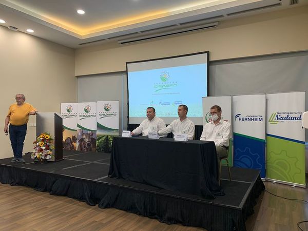 Chaco Central: lanzan fundación “Ideagro” para potenciar el desarrollo agropecuario - Nacionales - ABC Color