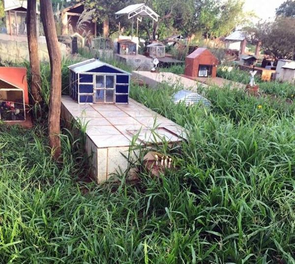 Profanan tumba en cementerio central y se llevan cráneo de fallecido