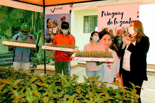Entregan plantines frutales a productores de Paraguarí y Cordillera - Nacionales - ABC Color