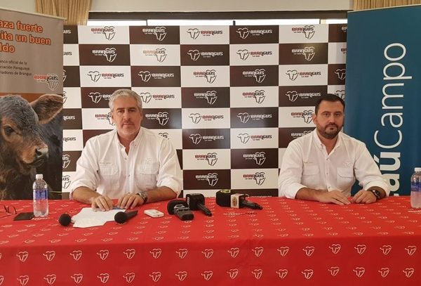 Brangus presentó calendario de actividades para la Expo Nacional de Ganadería