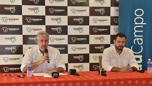 En Brangus miran con gran entusiasmo Expo Ganadera