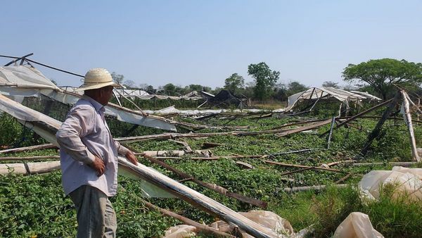 Temporal causa pérdidas a agricultores en Concepción