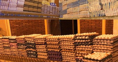 La Nación / Productores pymes: “El contrabando de huevos nos mata”