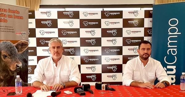 La Nación / Brangus se prepara para la Expo Ganadería 2021