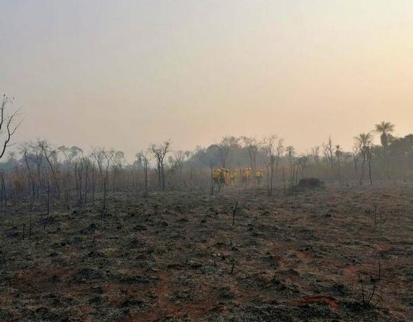 Lluvias minimizaron riesgo de incendio pero piden no bajar la guardia – Prensa 5