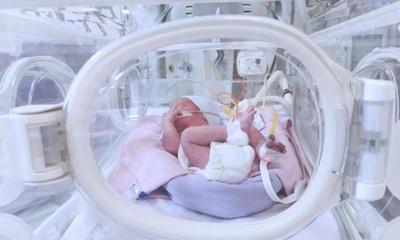 Un hospital de Logroño cambió por error a dos bebés en 2002 – Prensa 5