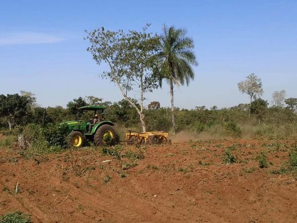 Escasez de lluvias se extenderá como mínimo hasta fin de año, según estimaciones del MAG