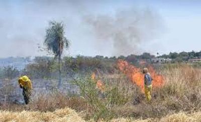 Alerta de incendios y sequía persisten según Emergencia Nacional