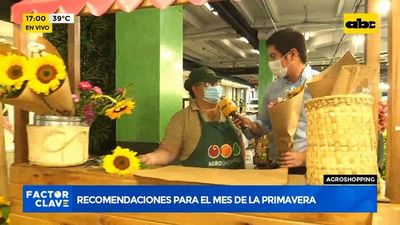 Recomendaciones para el mes de la primavera - Factor Clave - ABC Color