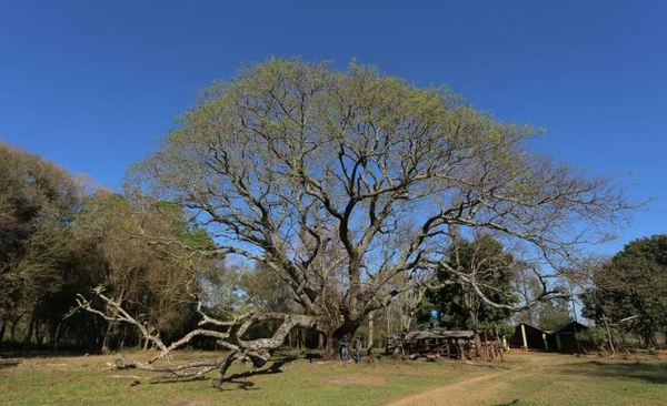 Diario HOY | Finalizó la tercera expedición de los “Colosos de la Tierra”