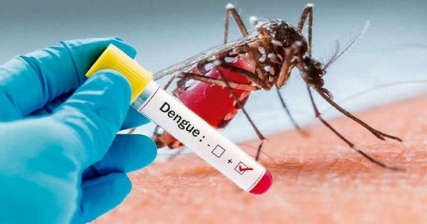 La Nación / Alta infestación larvaria en varios puntos del país