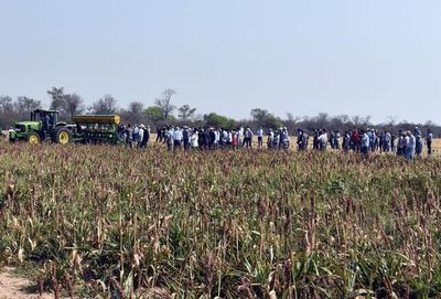 Jornada dinámica en Pioneros del Chaco - Nacionales - ABC Color