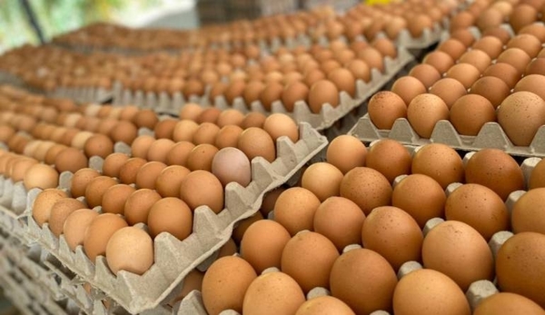 Diario HOY | Gobierno promete combatir el ingreso masivo de huevos de contrabando