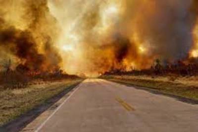 Bolivia: Incendios forestales consumieron 1 millón de hectáreas, la mayoría áreas protegidas