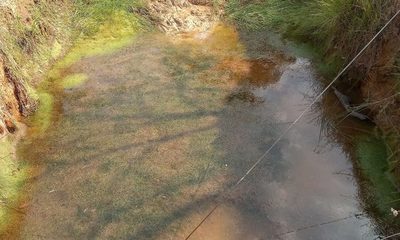 Falta de agua afecta a productores hortícolas