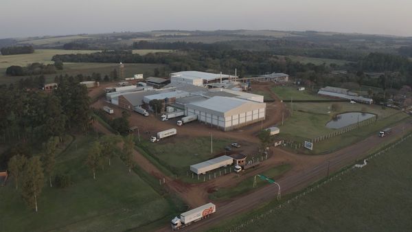 Día de la Industria Nacional: Upisa, apostando al desarrollo