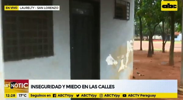 San Lorenzo: delincuentes robaron una heladera de un puesto policial - Nacionales - ABC Color