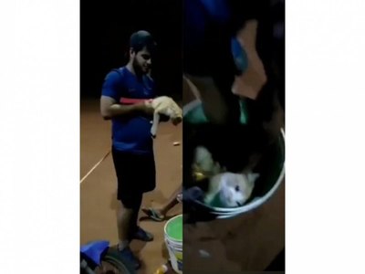Crónica / [VIDEO] Identificaron al desalmado que intentó ahogar a un gato en un balde