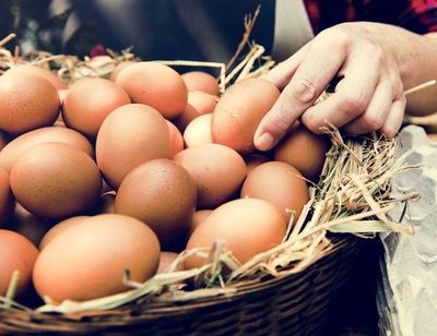 Ingreso masivo de contrabando de huevos preocupa a productores locales - MarketData