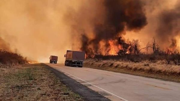 Bolivia: En lo que va del año incendios forestales consumieron 1 millón de hectáreas, entre ellas áreas protegidas