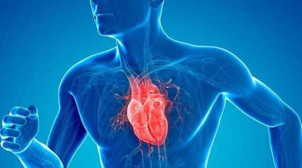 Recomendaciones para una buena salud cardiovascular