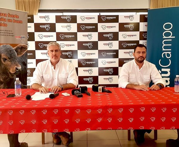 Llega la Expo Ganadera
